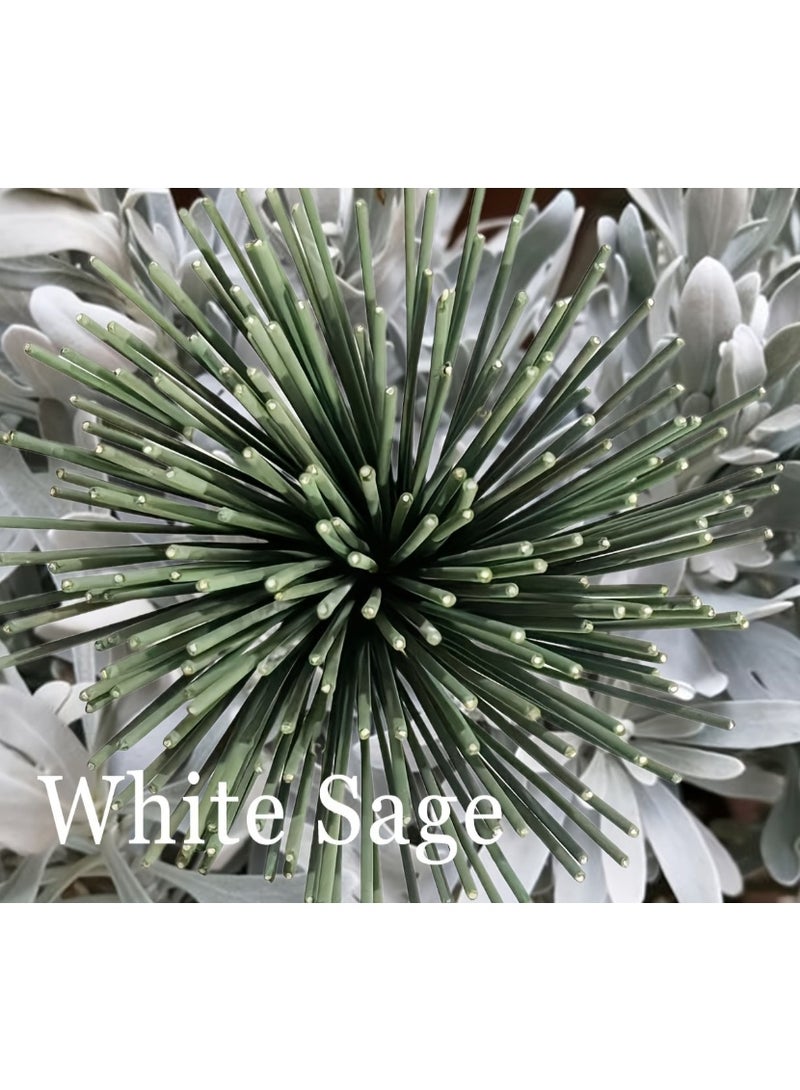 150 قطعة من أعواد بخور المريمية البيضاء عالية الجودة، مصنوعة يدويًا من أعواد الخيزران السميكة بطول 22 سم، برائحة طبيعية تدوم طويلًا، مناسبة للتأمل واليوغا والتدليك، خيار مثالي لتنقية الهواء في المنازل والفنادق والمنتجعات الصحية. - Image 3